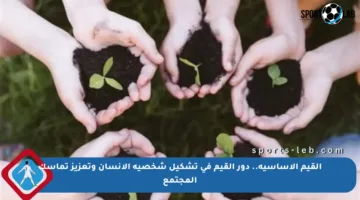 القيم الأساسية.. دور القيم في تشكيل شخصية الإنسان وتعزيز تماسك المجتمع